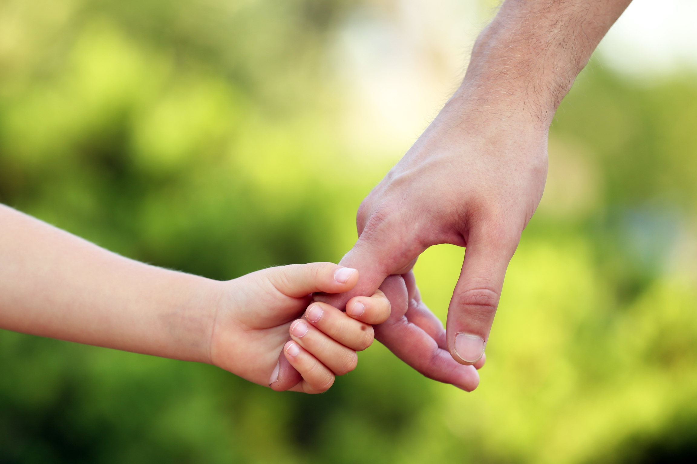 Child Holding Their Parent's Hand