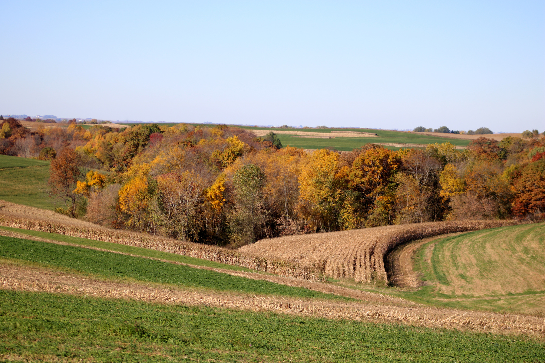 Fall Farm Field Landscape